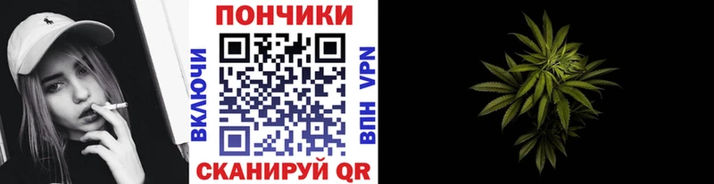 Бошки Шишки ГИДРОПОН Джанкой